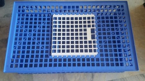 Defect Free Birds Transport Crate