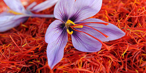 Pure Amber Crocus Saffron