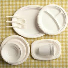 Quality Tested Disposable Plate