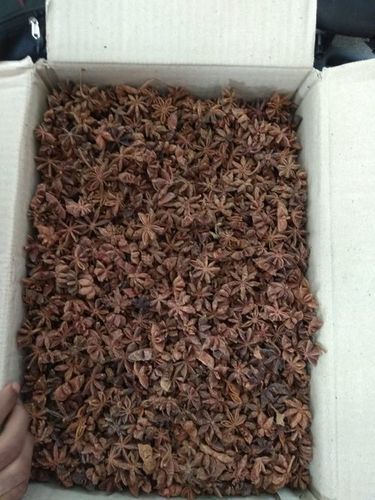 Best Quality Star Anise