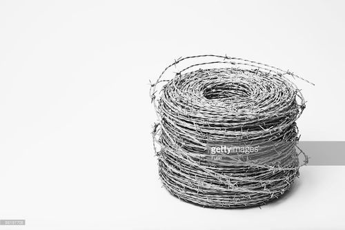 Galvanized Iron Barbed Wire