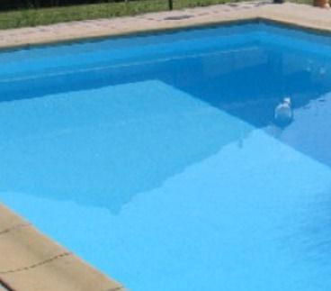 Top Class Automatic Pool Cleaner