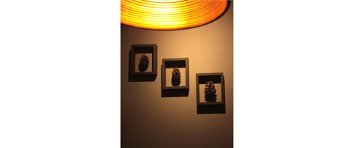 Ms Exclusive Pine Cone Framed Wall Art Making Service