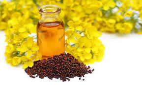 Purity Tested Organic Mustard Oil