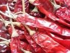 Cost-Efficient Red Chilli