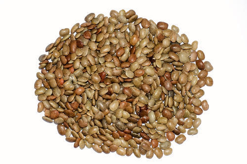 Highly Reliable Horse Gram - Kulthi