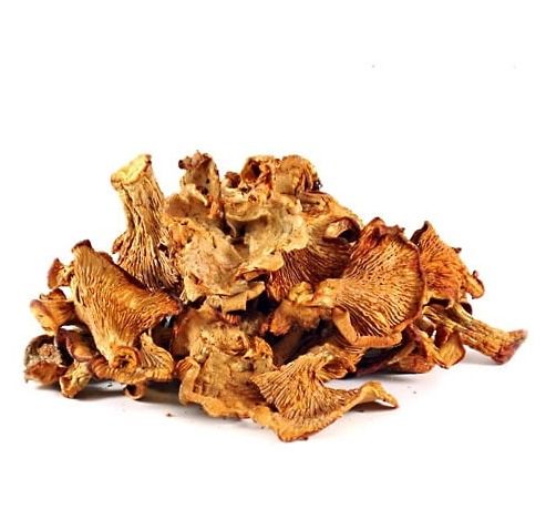 Pure And Fresh Dry Mushroom