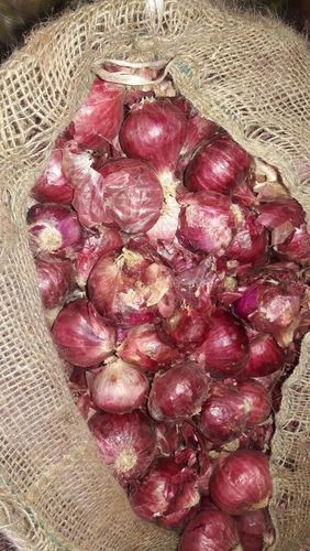 Pure Red Fresh Onion