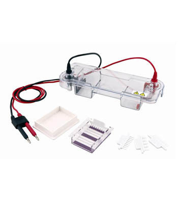 Reliable Horizontal Electrophoresis Tank