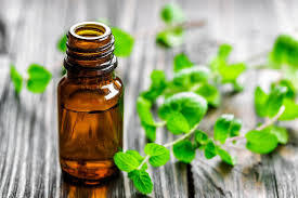 Fresh and Natural Peppermint Oils