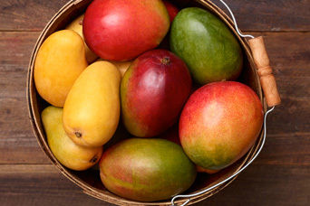 Multi Color Fresh Delicious Tasty Mango