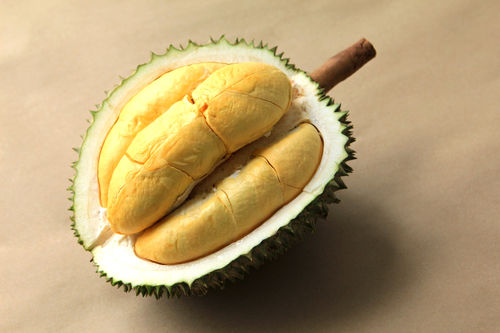 Fresh Green Durian Fruits