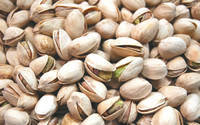 High Grade Pistachio Nuts