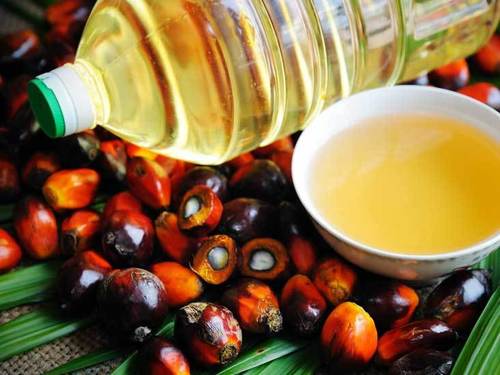 High Quality Natural Palm Oil