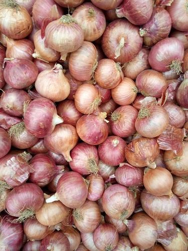 Pure Fresh Yellow Onion By Rajdev Onions