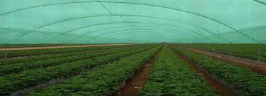 Farm Agro Shade Net