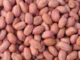 Groundnut Seeds for Oil and Snacks