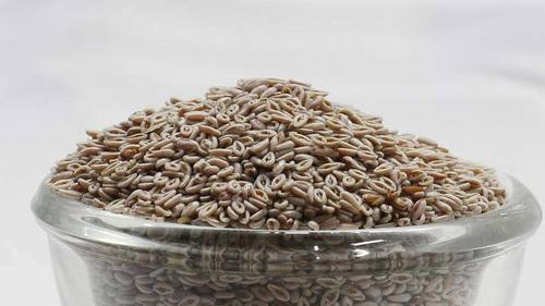 High Grade Psyllium Seeds Grade: A