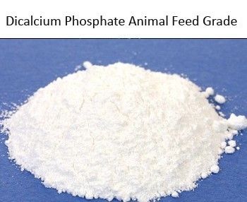 Dicalcium Phosphate Animal Feed Grade