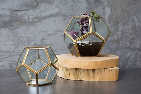 Indoor Pentagon Glass Box Planter