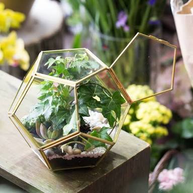 Terrarium Clear Glass Planters