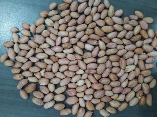 Hygienically Processed Groundnut Seed