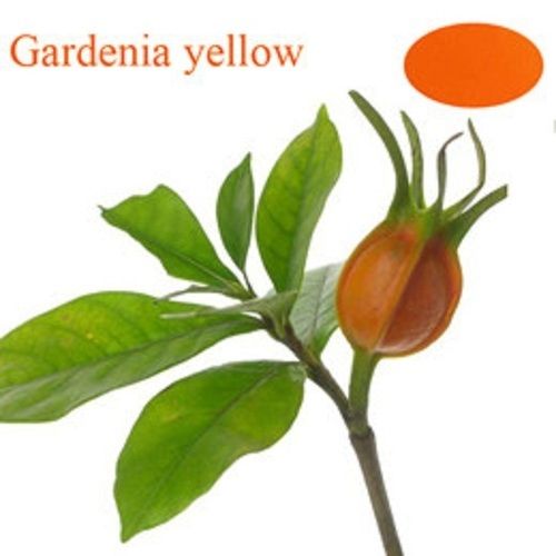Fine Grade Gardenia Yellow Powder