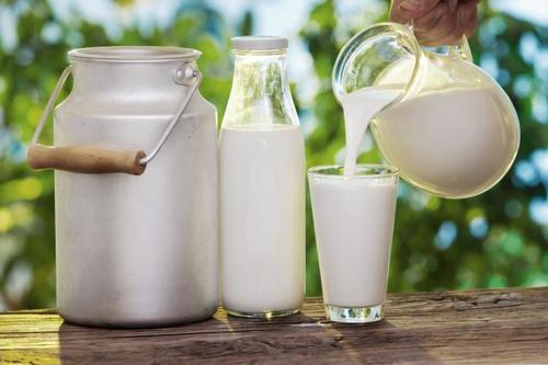 Fresh Dairy Milk Is Rich In Protein