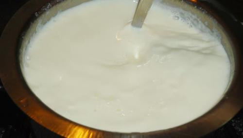 Fresh Pure Natural Curd