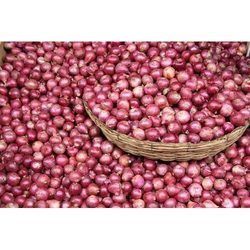 Fresh Red Onion Vegetable