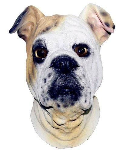 Latex Canine Pet Costume Pug Boxer Dog Mask