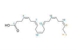 Docosahexaenoic Acid Dha 10% Powder