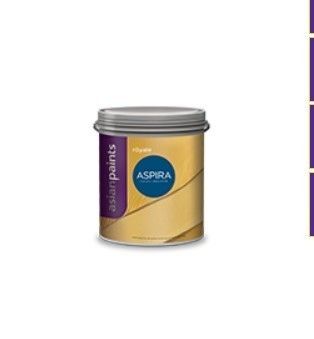 Fine Texture Royale Aspira Paint