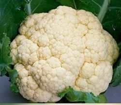 Fresh And High In Taste Cauliflower