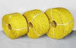 Best Price Danline Rope Hardness: Rigid