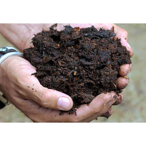 Organic Manure For Agriculture