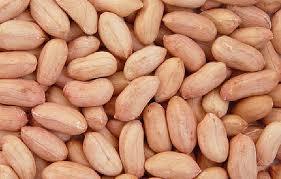 High Nutritional Value Peanuts