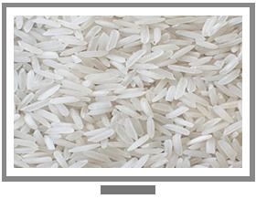 Low Price Mota Rice