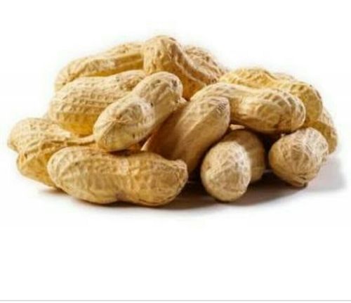 Organic Fresh Shelled Groundnut