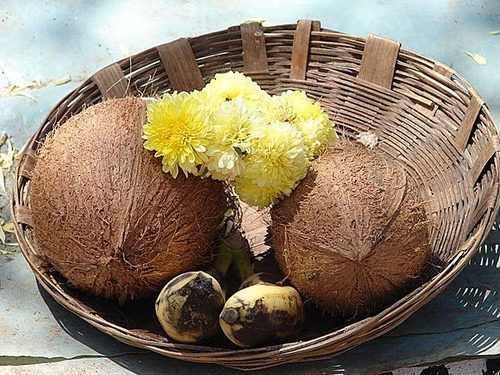Natural Fresh Water Coconut