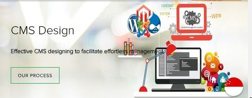 CMS Software Development Services