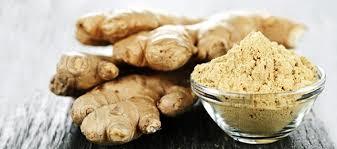 Fine Grade Ginger Extract