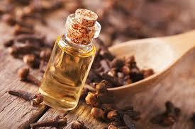 High Quality Clove Bud Oil