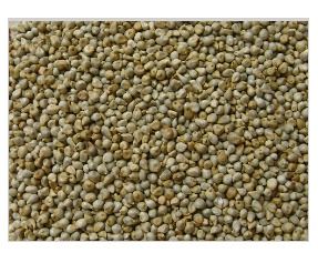 Bajari Beans - Millets