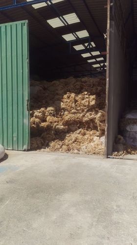 Greasy Raw Wool For Carpet