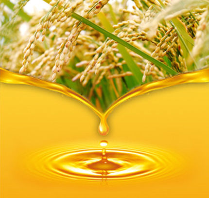 Rice Bran Oil Riceland Fat-20