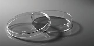 Transparent Plastic Petri Dishes