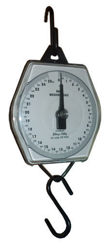 Baby Weighing Scale 25kg. x 100gm.