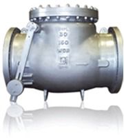 High Pressure Check Valve