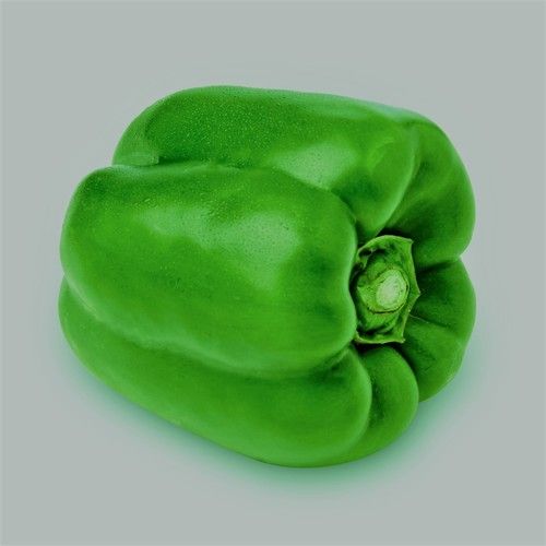 Export Quality Green Capsicum